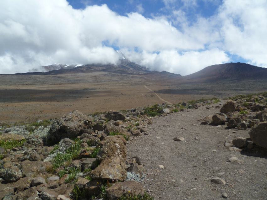 KILIMANJARO