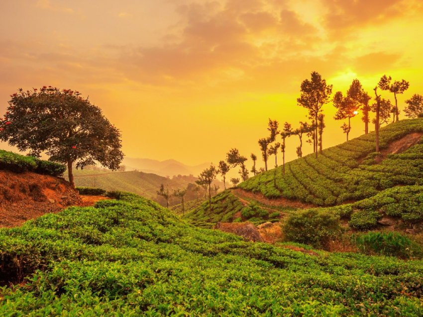 Kerala