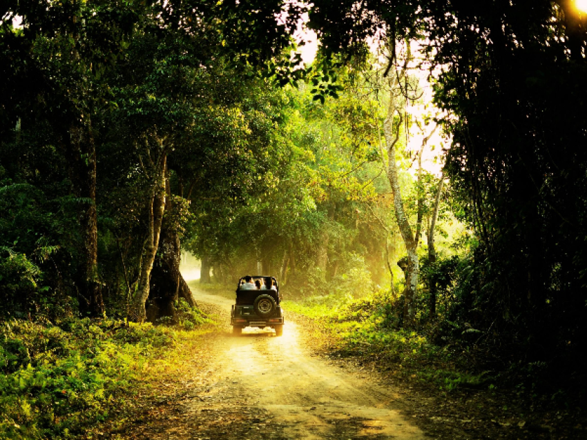 Thekkady