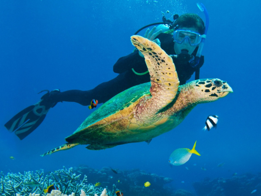 Îles Lakshadweep
